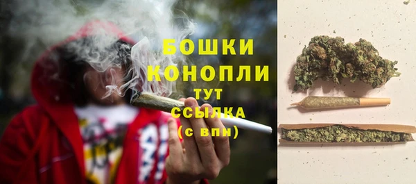 ешки Богданович