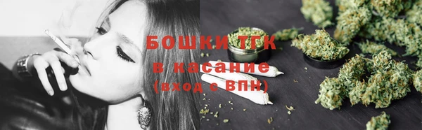 стаф Белокуриха