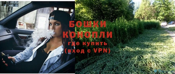 ешки Богданович