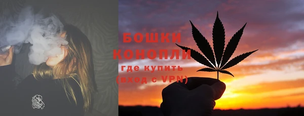 стаф Белокуриха
