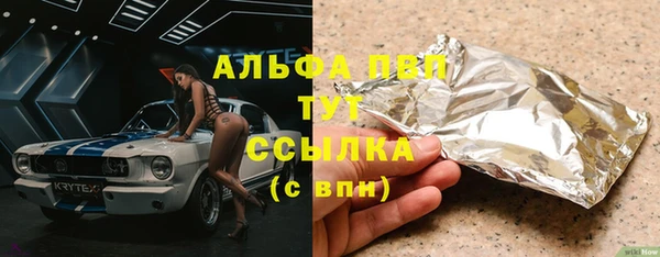 стаф Белокуриха